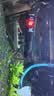 森森鱼缸水族箱加热棒自动恒温防爆缸加温棒小型鱼缸加热器 50W石英更省电带保护套（16.5cm长）带数显+ 实拍图