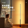 落地灯ins简约北欧led客厅现代轻奢卧室台灯床头灯墙角护眼氛围灯 【插电100CM】按键暖光 实拍图