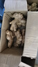 京鲜生 云南小黄姜 净重3斤 新姜生姜 新鲜现挖 单果50g+ 源头直发包邮 实拍图