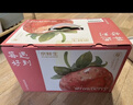 京鲜生 红颜奶油草莓 2斤装 40-48颗 单果18g+ 水果 春节也送货 实拍图