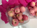京鲜生 山东栖霞红富士苹果精品12粒 单果190g-240g  水果礼盒 实拍图