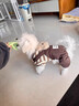 宠城狗狗衣服秋冬可爱四脚衣加绒保暖可牵引中小型犬博美泰迪比熊冬季 棕色小熊【可牵引加绒厚】 S（建议体重3-5斤） 实拍图