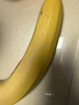 佳农 进口香蕉净重4斤（约10-12根）单根蕉 独立装 生鲜水果 新鲜包邮 实拍图