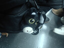 Murcia可爱呆萌抱小鱼大眼黑猫挂件毛绒玩偶情侣包挂件创意小黑猫钥匙扣 实拍图