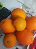京觅秭归脐橙纽荷尔橙子净重9斤精品果200g+新鲜水果礼盒源头直发包邮 实拍图