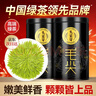 乐品乐茶头采芽毛尖明前特级2025新茶绿茶年货茶叶礼盒装250g送长辈领导 实拍图