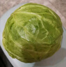 高原夏菜新鲜包菜卷心菜绿甘南菜甘蓝圆白菜时令蔬菜健康营养早餐 9斤净重农家好菜 实拍图