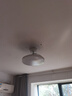美的（Midea）风扇灯一体led36寸全光谱白光6档调风餐厅吊扇灯护眼灯具包安装 实拍图