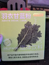 京东京造鲜来多羽衣甘蓝粉青汁果蔬粉自然原粉即食冲饮膳食纤维代餐粉36g 实拍图