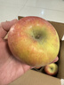 京鲜生 新疆阿克苏苹果 净重9斤 巨无霸95-100mm 新鲜水果 实拍图