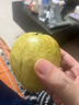 京觅福建奶油芭乐 番石榴 单果150g起 净重4.5斤装 源头直发包邮 实拍图