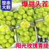 阳光玫瑰葡萄晴王青提香水提子山西新鲜水果一斤也是批发价 带箱5斤大果【单果克重10g-20g】（净重约4.5斤） 实拍图