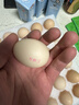 京鲜生柴鸡蛋30枚 3斤 无抗生素 谷物喂养鲜鸡蛋 源头直发 实拍图