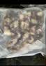 小熊（Bear）抽真空包装袋食品塑封袋双面纹路真空袋压纹袋家用抽真空保鲜袋子抽真空封口机包装机中秋月饼打包 双面网格纹25*500CM（一卷） 实拍图