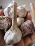 【百万单爆品】紫白皮蒜水果大蒜超市生鲜蔬菜调料即食蒜 大蒜6头 150g 单果3.5-5cm 实拍图