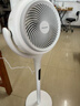 松下空气循环扇家用直流变频电风扇落地扇3D立体广角送风 新品上市循环扇F-CW1901C-W 实拍图