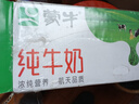 蒙牛全脂纯牛奶200ml*24盒 家庭年货囤货 电商定制 实拍图