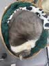 泰格宠物猫窝四季通用夏季藤编猫抓板超大号垫子编织猫咪狗狗睡觉宠物用品 藤编猫耳窝+奶白棉垫+奶白抱枕 中号【适合15斤内】 实拍图