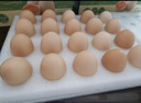 京鲜生减醇可生食鸡蛋20枚/盒 2斤 无抗鲜鸡蛋 源头直发 实拍图
