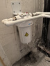 小鱼儿大白瓶前置过滤器家用全屋  自来水大蓝瓶大胖瓶净水器大通量小型中央净水机管道净化设备 10寸单联基础(配PP除杂质) 实拍图