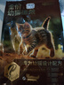 京东京造 幼猫全价猫粮4.5kg(1.5kg*3) 乳清蛋白羊奶免疫护肠胃 实拍图