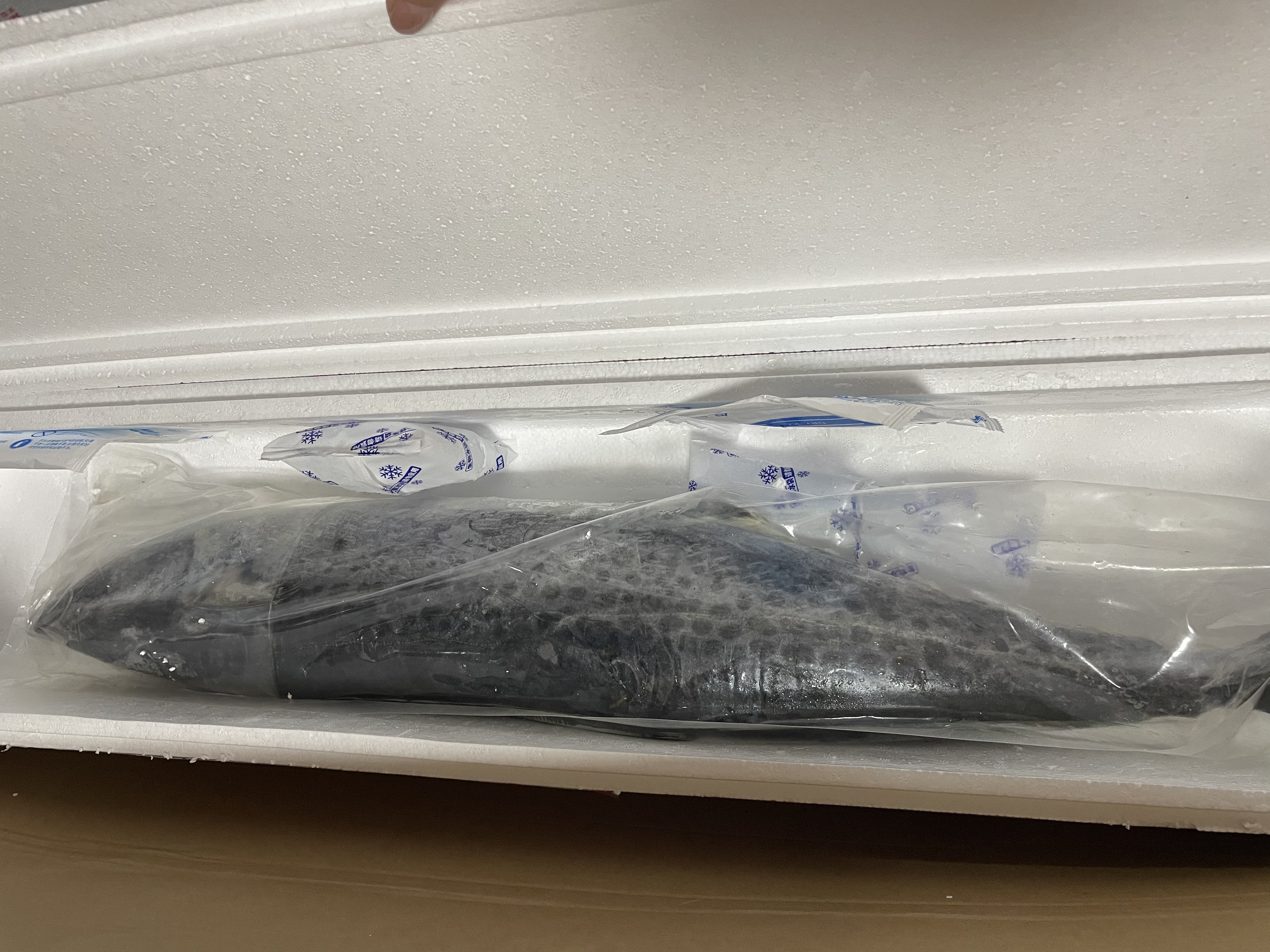 卖鱼七郎青岛海捕非养殖大鲅鱼7.5-8.5斤冷冻特大马鲛鱼年货礼盒源头直发 实拍图