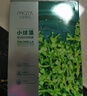 珀莱雅（PROYA）面膜 小球藻面膜 保湿海藻面膜补水面膜女男20片 实拍图