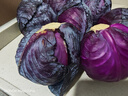 高山露天紫甘蓝新鲜紫包菜卷心菜花青素沙拉蔬菜包菜凉拌新鲜蔬菜 带箱9斤（轻食代餐首选）2-4个 【高山绿色种植】每日新鲜采收 实拍图