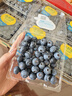 怡颗莓Driscoll's云南蓝莓14mm+ 12盒装 约125g/盒 水果年货礼盒 实拍图