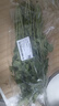 带根香菜100g 实拍图
