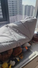 京东京造抗菌云感棉花床垫 新疆棉床褥加厚可折叠学生四季可用软垫 1.5x2m 实拍图