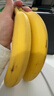 佳农 进口大把香蕉净重2.4斤 家庭装 生鲜水果 源头直发 包邮 实拍图