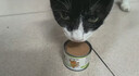 多特思猫主食罐头猫草奶炖60g全阶段成幼猫慕斯罐头温补排毛肠胃友好 实拍图