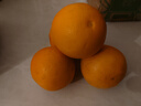 果果牛湖南麻阳冰糖橙 应当季新鲜水果手剥甜橙子高山夏脐血多汁 可选 净重9斤(单果60mm以下)实惠 实拍图
