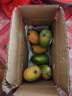 【花皮介意慎拍】正宗新鲜芒果软糯香甜现摘时令水果半熟发货 带箱1斤【单果70-90g】 实拍图