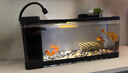 阔庭（KUOTING）溪流缸新款鱼缸制氧一体式懒人生态造景侧滤溪流缸黑色【大号】 实拍图