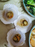 富海锦 蒜蓉粉丝扇贝净重1.6斤 12只大号扇贝肉  火锅烧烤食材 年货送礼 实拍图