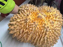 京鲜生 泰国金枕头榴莲 净重6-7斤 1个装 生鲜 新鲜水果 源头直发包邮 实拍图