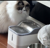 Panasonic松下宠物抑菌饮水机猫咪饮水机自动循环 猫咪喂水机【小笑脸】 实拍图