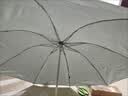【⭐挡雨防晒】银胶手动折叠晴雨伞男女伞两用防晒遮阳黑胶伞大号 8骨银胶手动伞（颜色随机） 实拍图