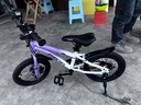 凤凰（Phoenix）儿童自行车脚踏车3-6-8-12-18岁童车山地单车双碟刹带辅助轮14寸 实拍图