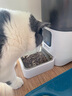 PAPIFEED猫咪自动喂食器宠物定时定量投食机猫粮狗粮碗wifi远程智能投粮 实拍图