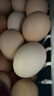 京鲜生可生食标准鲜鸡蛋30枚礼盒装3斤 源头直发 实拍图