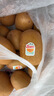 佳沛（zespri）意大利 阳光金奇异果12粒年货礼盒特大果单果约122-146g 猕猴桃 实拍图