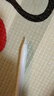 Apple/苹果 Pencil替换笔尖-4个装 苹果笔头替换笔尖备用笔头笔尖 applepencil通用 实拍图