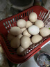 京鲜生 无抗保洁鲜鸡蛋30枚/盒 健康轻食 礼盒送礼 1.5kg/盒 源头直发 实拍图