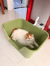 疯狂的主人猫砂盆超大号半封闭式特大号猫厕所防外溅猫沙盆猫屎盆猫咪用品 实拍图