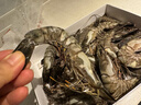 GUO LIAN国联特大号黑虎虾斑节虾无冰盐冻净重2斤20-30只年货送礼海鲜家宴 实拍图