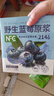 养益君100%NFC野生蓝莓原浆蓝莓汁果汁饮料纯果蔬汁果饮300ml 实拍图