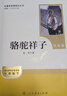 骆驼祥子+钢铁是怎样炼成的（升级版） 人教版名著阅读课程化丛书 七年级下套装（共2册）与25春新版初中语文教材配套使用（含微课，从教学角度讲解名著；含阅读笔记本，提供测评指导帮助提升整本书阅读能力） 实拍图